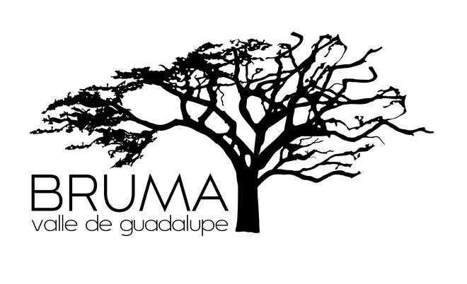 Bruma Logo